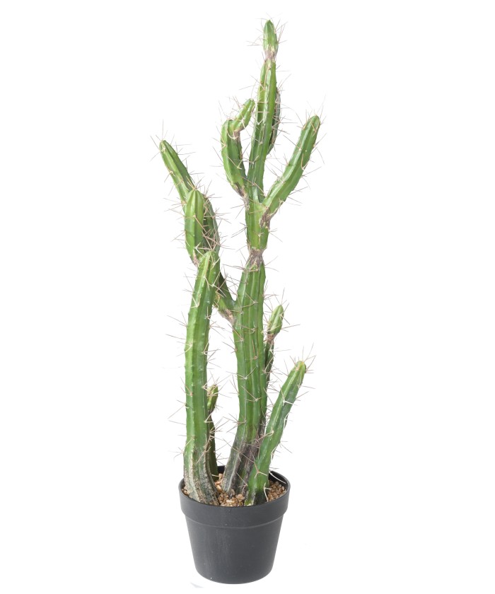 Artificial FINGER CACTUS F