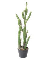 Artificial FINGER CACTUS F