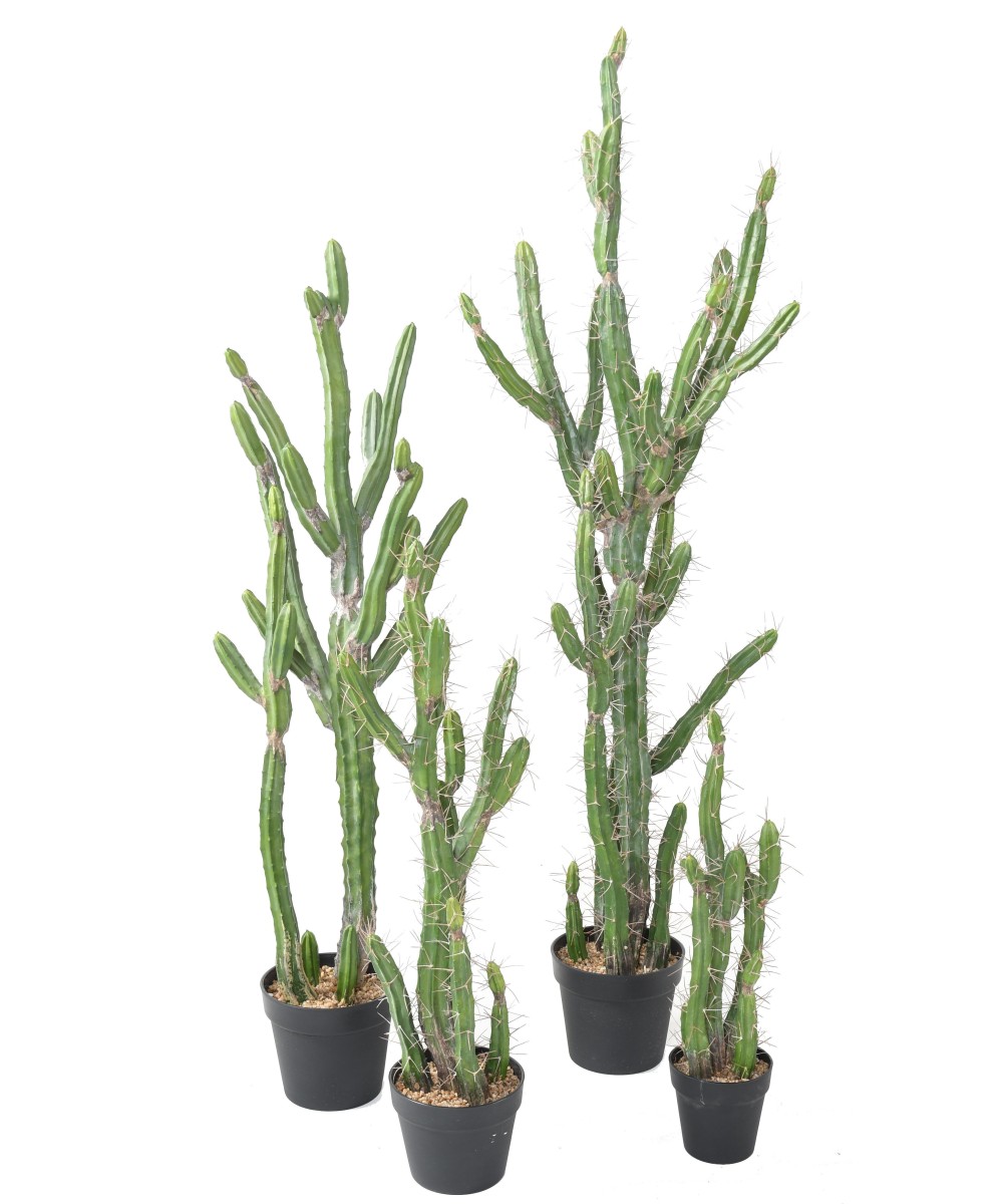 Artificial FINGER CACTUS F