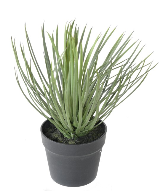 Artificial YUCCA ROSTRATA 40