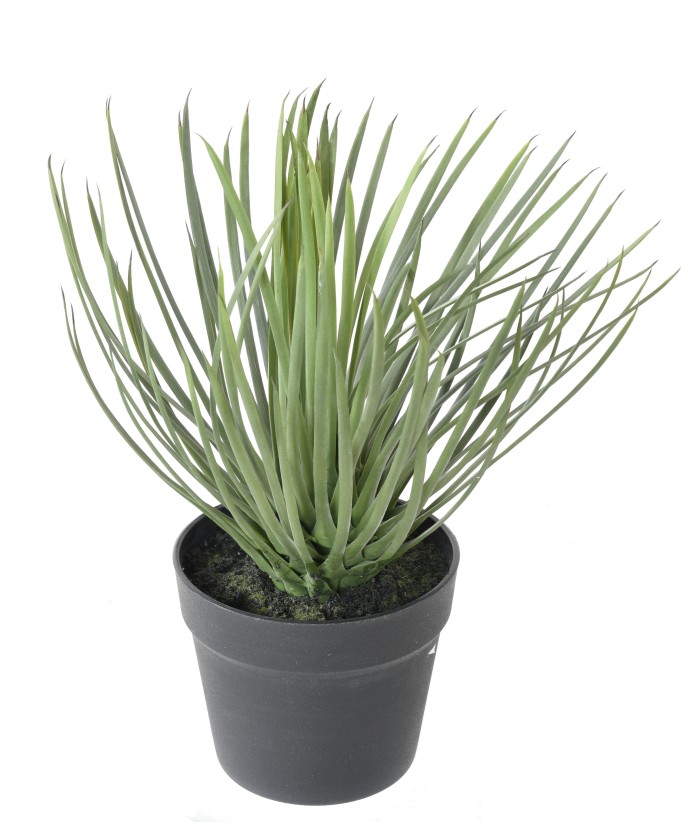 Artificial YUCCA ROSTRATA 40