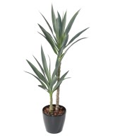 Artificial YUCCA RAPIER