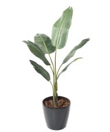 Kunstlik TRAVELLERS palm puu