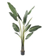 Kunstlik TRAVELLERS palm puu