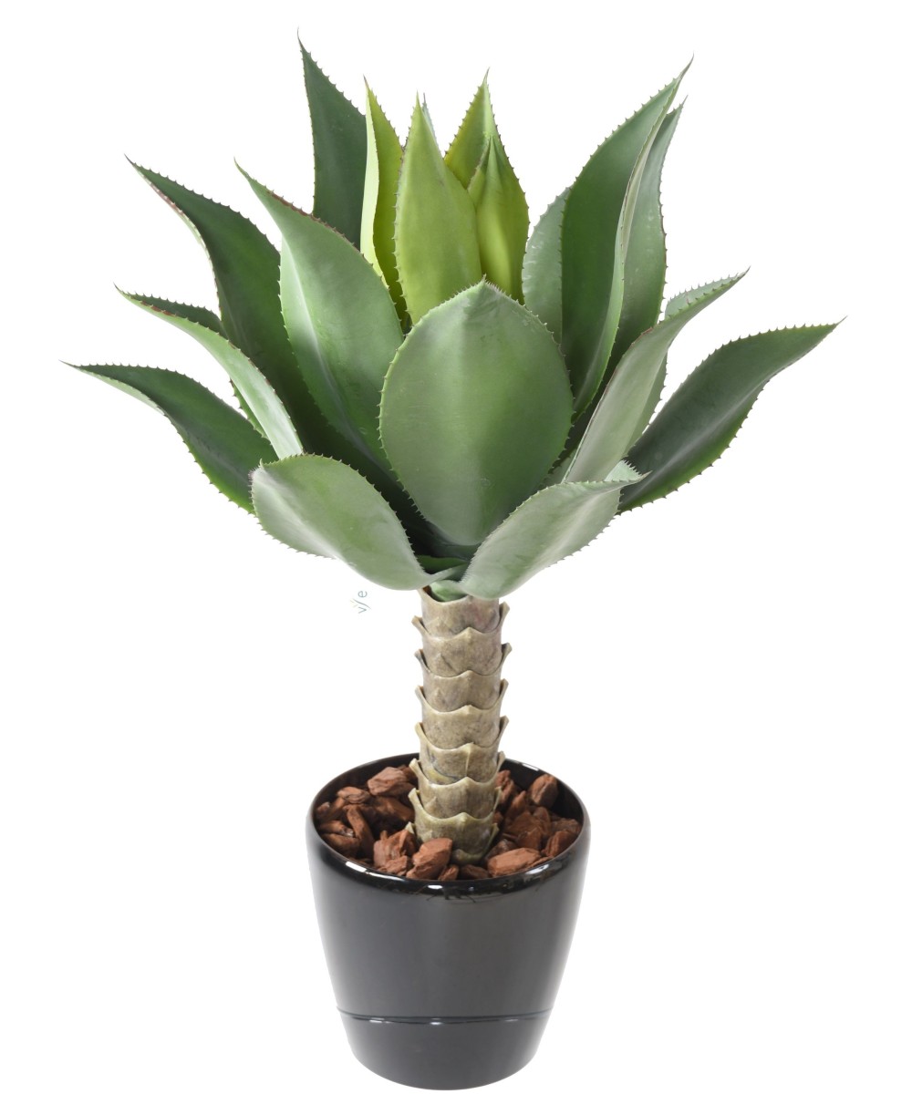 Artificial AGAVE L