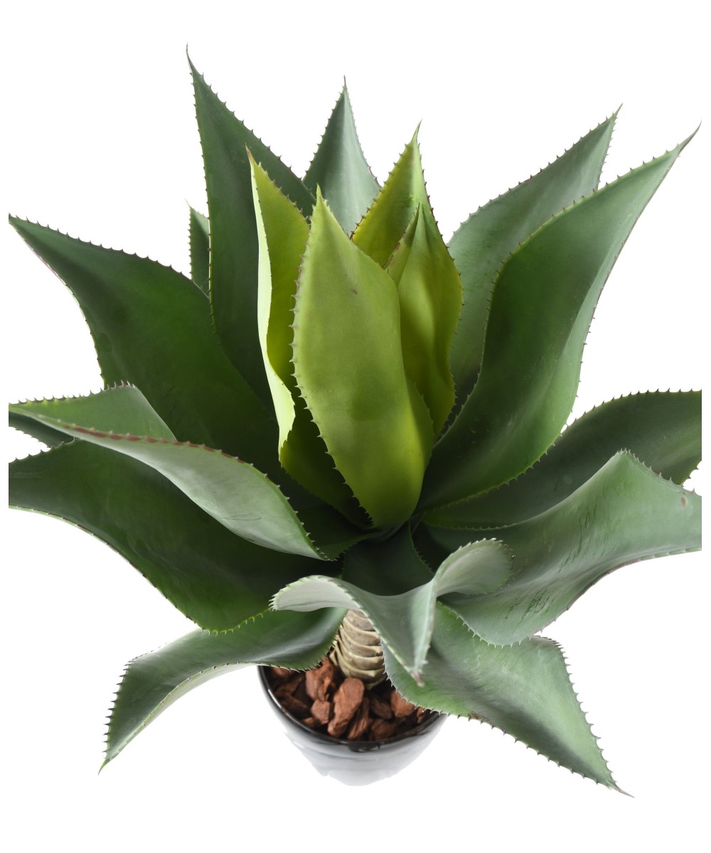 Artificial AGAVE L