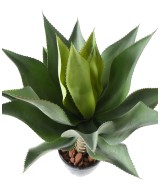 Artificial AGAVE L