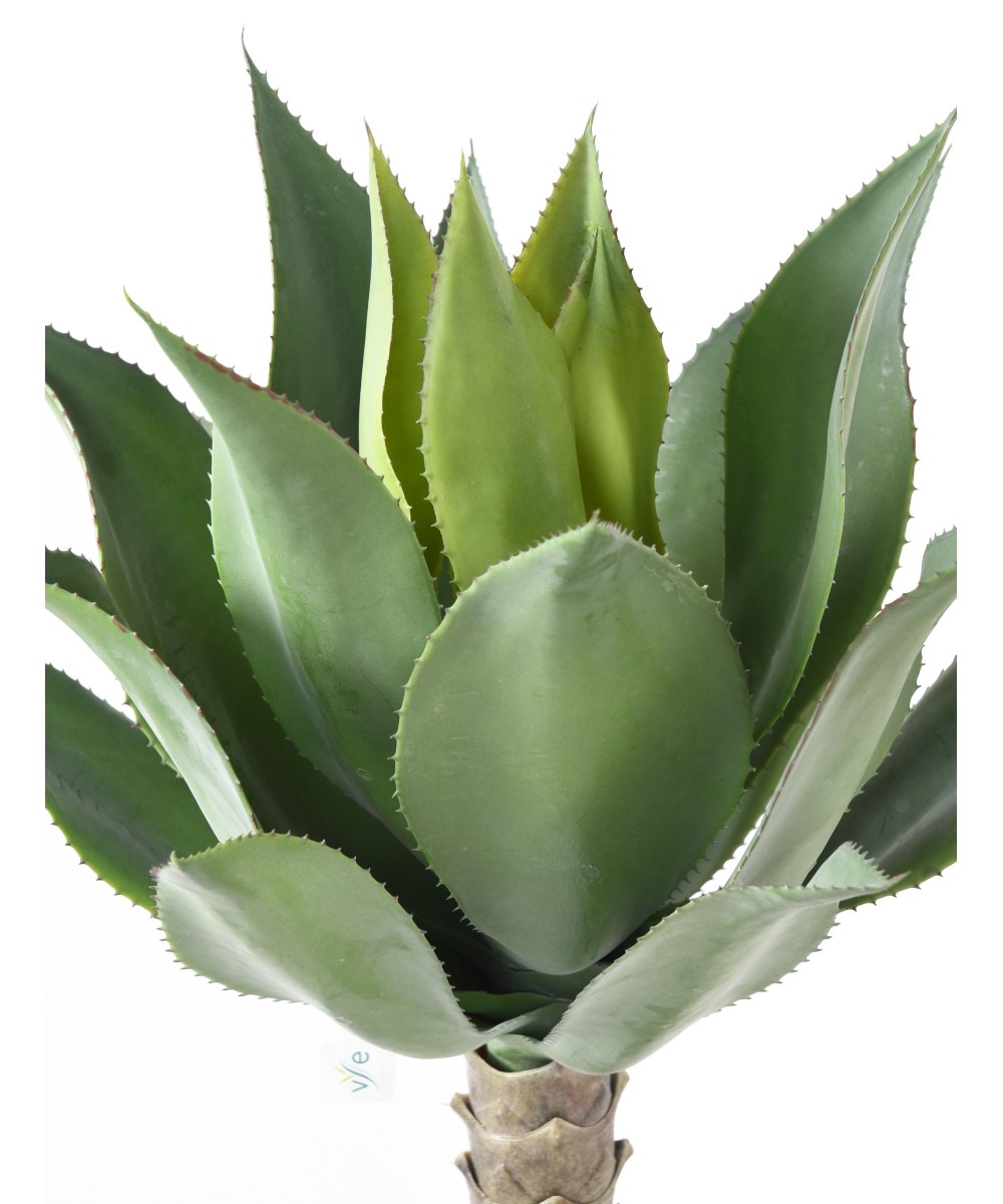 Artificial AGAVE L
