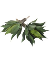 Artificial AGAVE L
