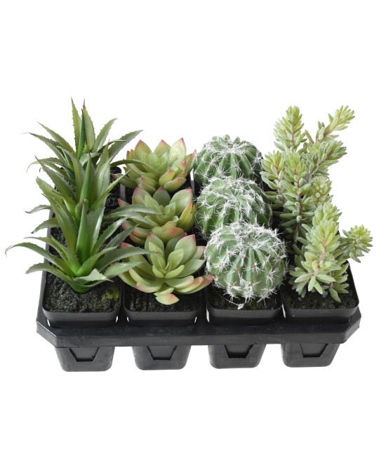 Artificial SUCCULENT ASSORTMENT 12