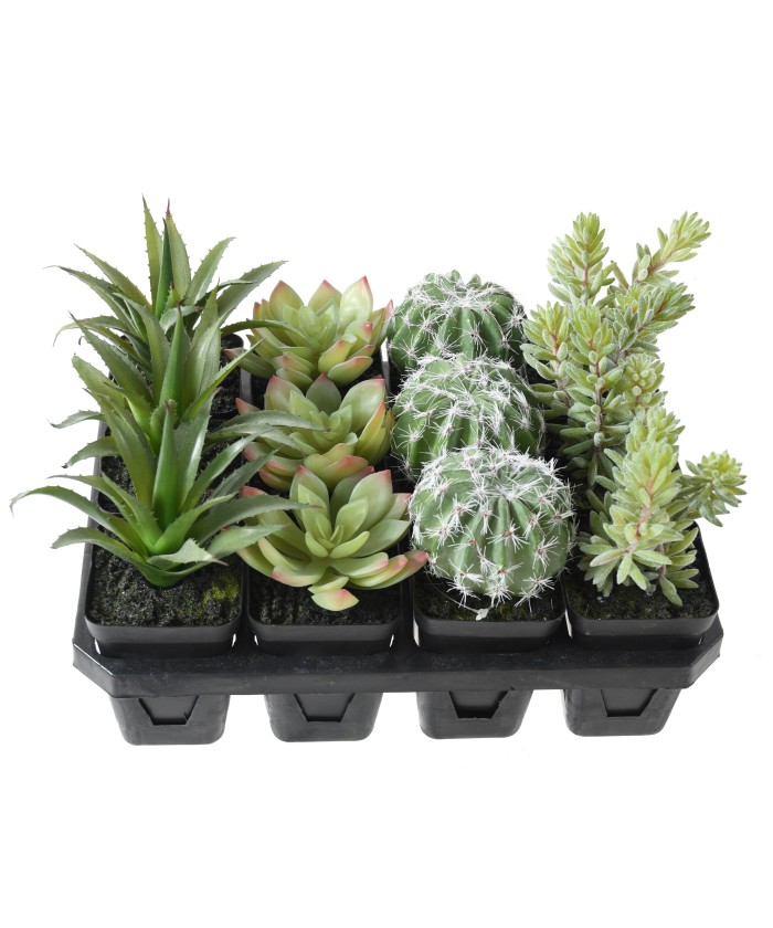 Kunstlike sukulentide assortiment 12
