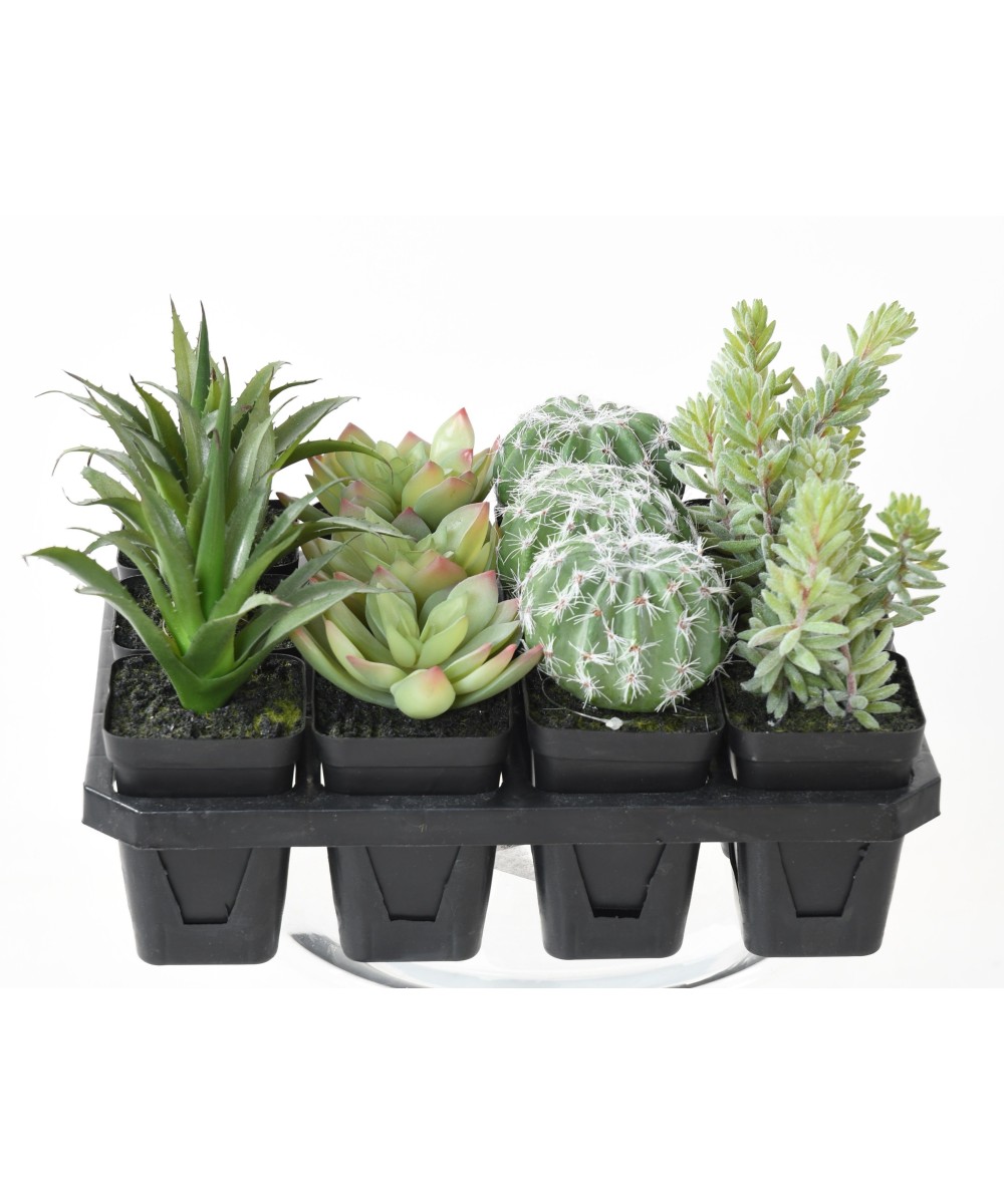 Kunstlike sukulentide assortiment 12