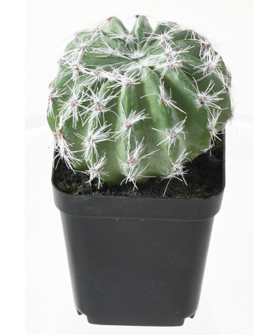 Artificial SUCCULENT ASSORTMENT 12