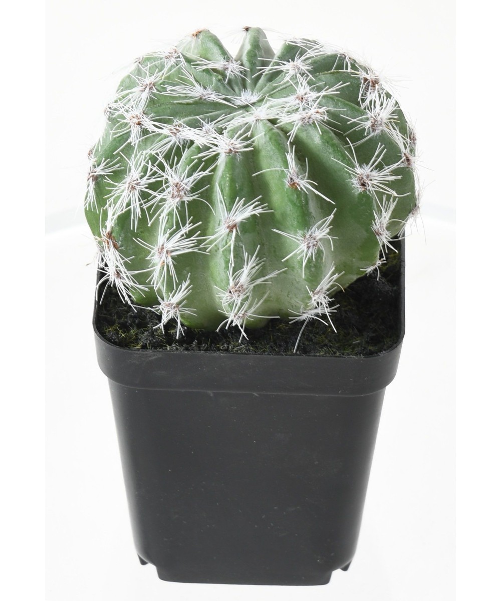 Artificial SUCCULENT ASSORTMENT 12