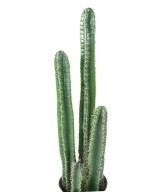 Artificial BARREL CACTUS
