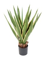 Artificial AGAVE FURCRAEA 80