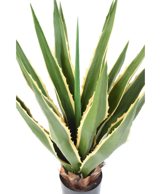 Kunstagaav Furcraea 80