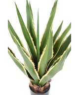 Kunstagaav Furcraea 80