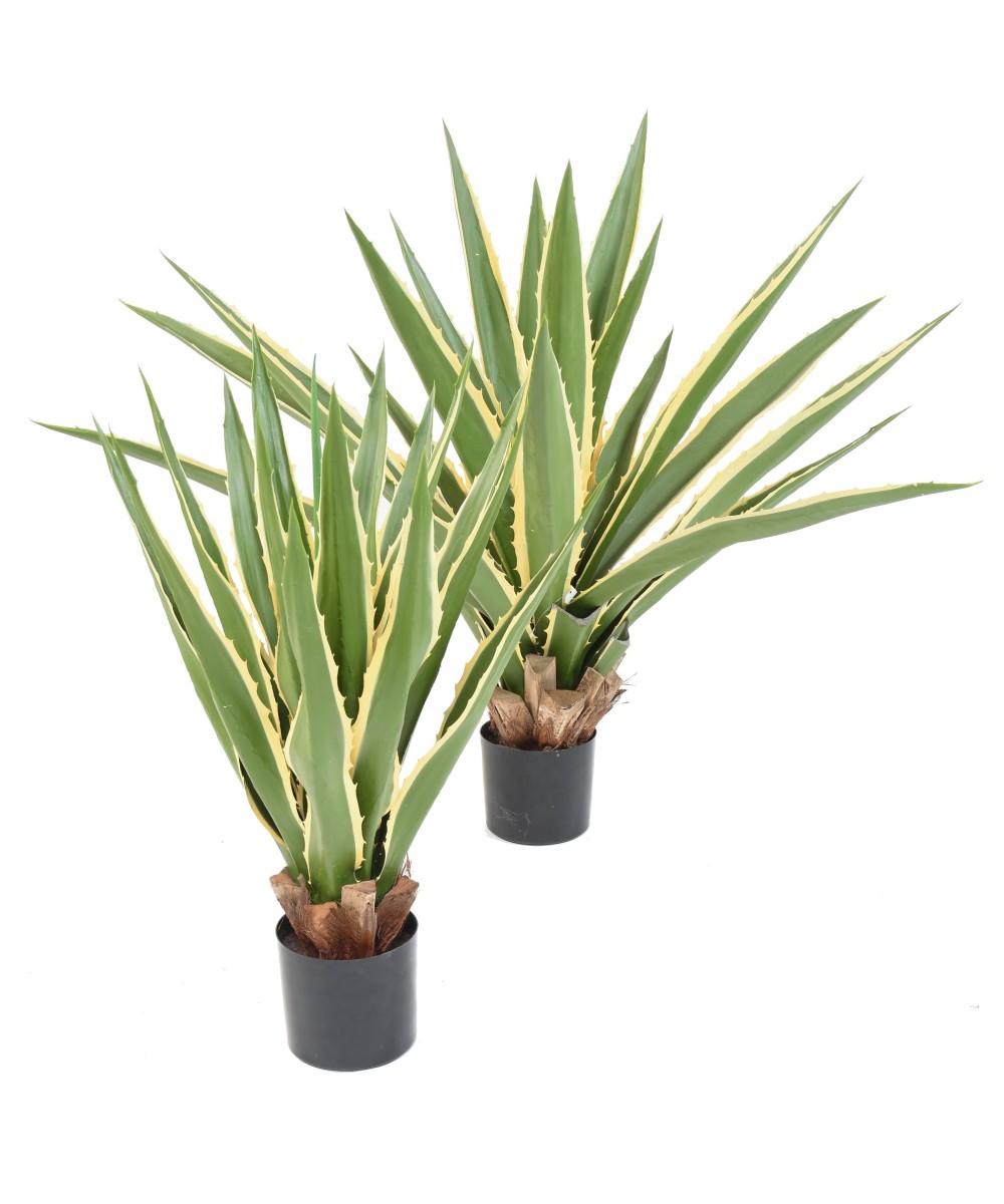 Kunstagaav Furcraea 80
