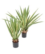 Artificial AGAVE FURCRAEA 80