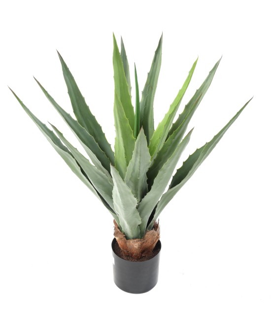 Kunstlik FURCRAEA 80