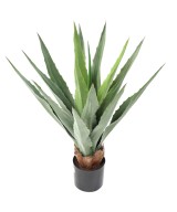 Artificial FURCRAEA 80