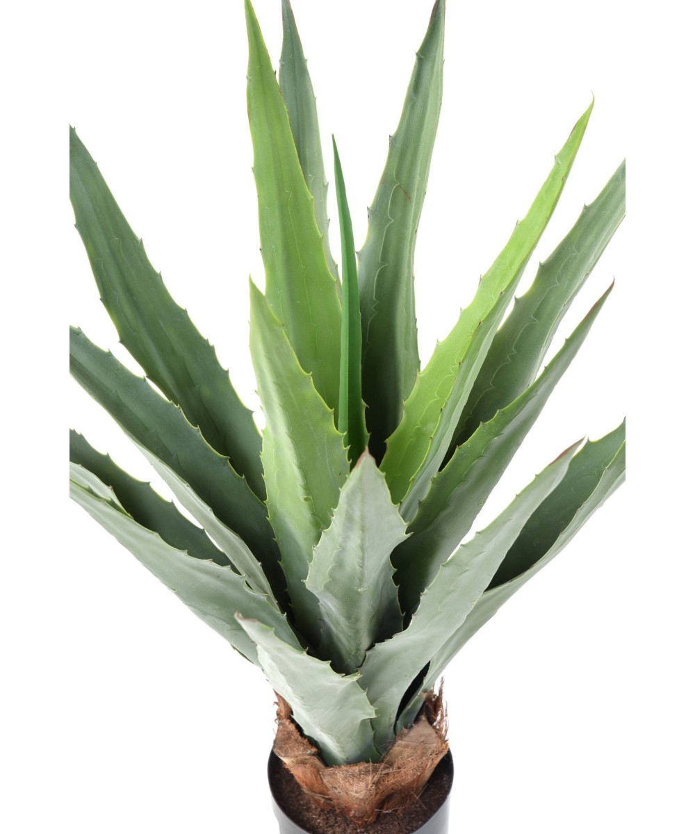 Artificial FURCRAEA 80