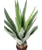 Artificial FURCRAEA 80