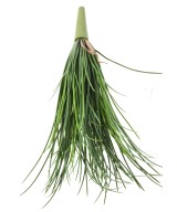 Kunstlik LADY GRASS UV