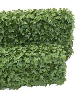 Artificial IVY HEDGE UV
