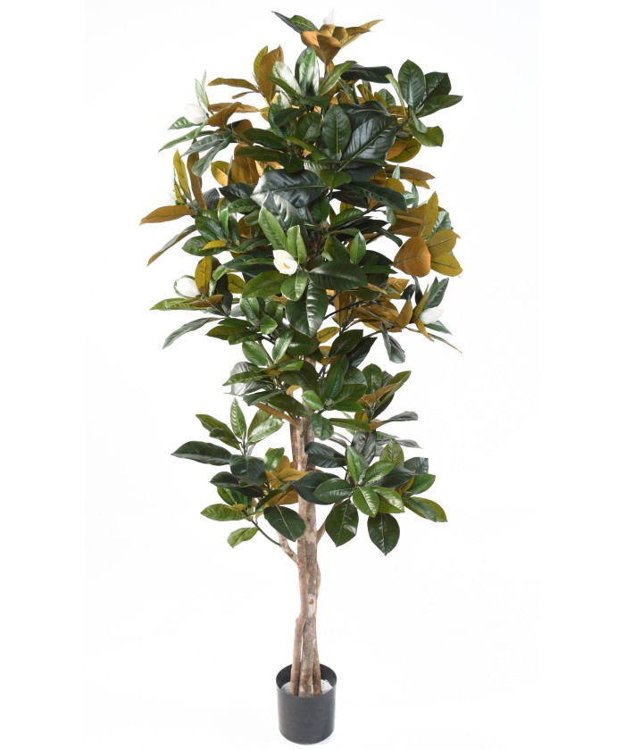 Kunstlik MAGNOLIA