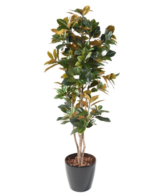 Kunstlik MAGNOLIA