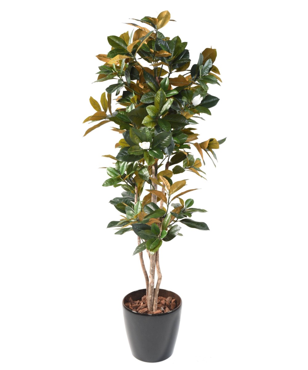 Kunstlik MAGNOLIA