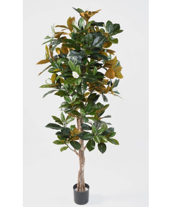 Kunstlik MAGNOLIA