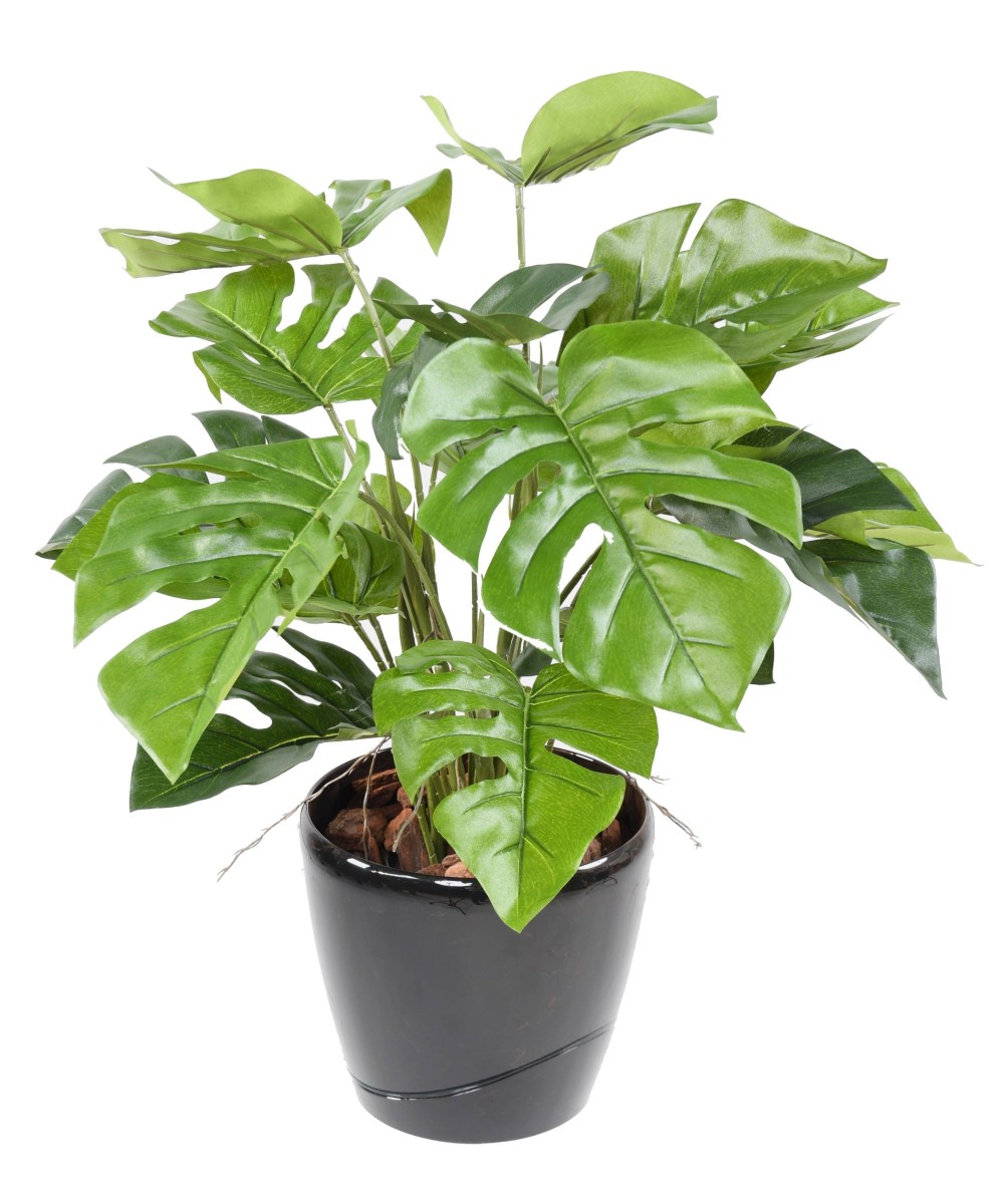Artificial PHILODENDRON MONSTERA POT