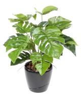 Artificial PHILODENDRON MONSTERA POT