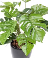 Artificial PHILODENDRON MONSTERA POT