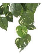 Artificial POTHOS HANGING BUSH UV