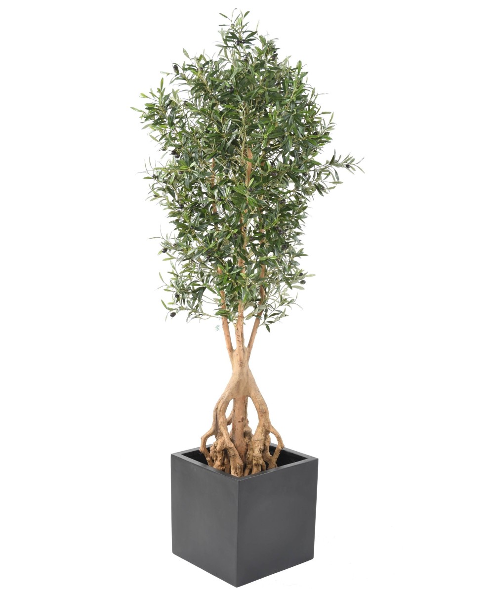 Artificial Olive Tree ROOT