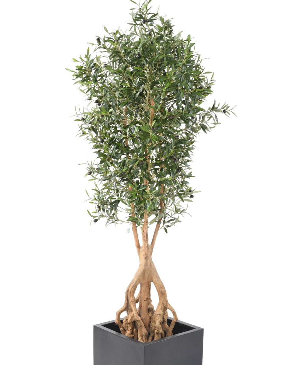 Artificial Olive Tree ROOT