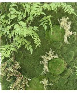 Artificial FERN MOSS GREEN WALL