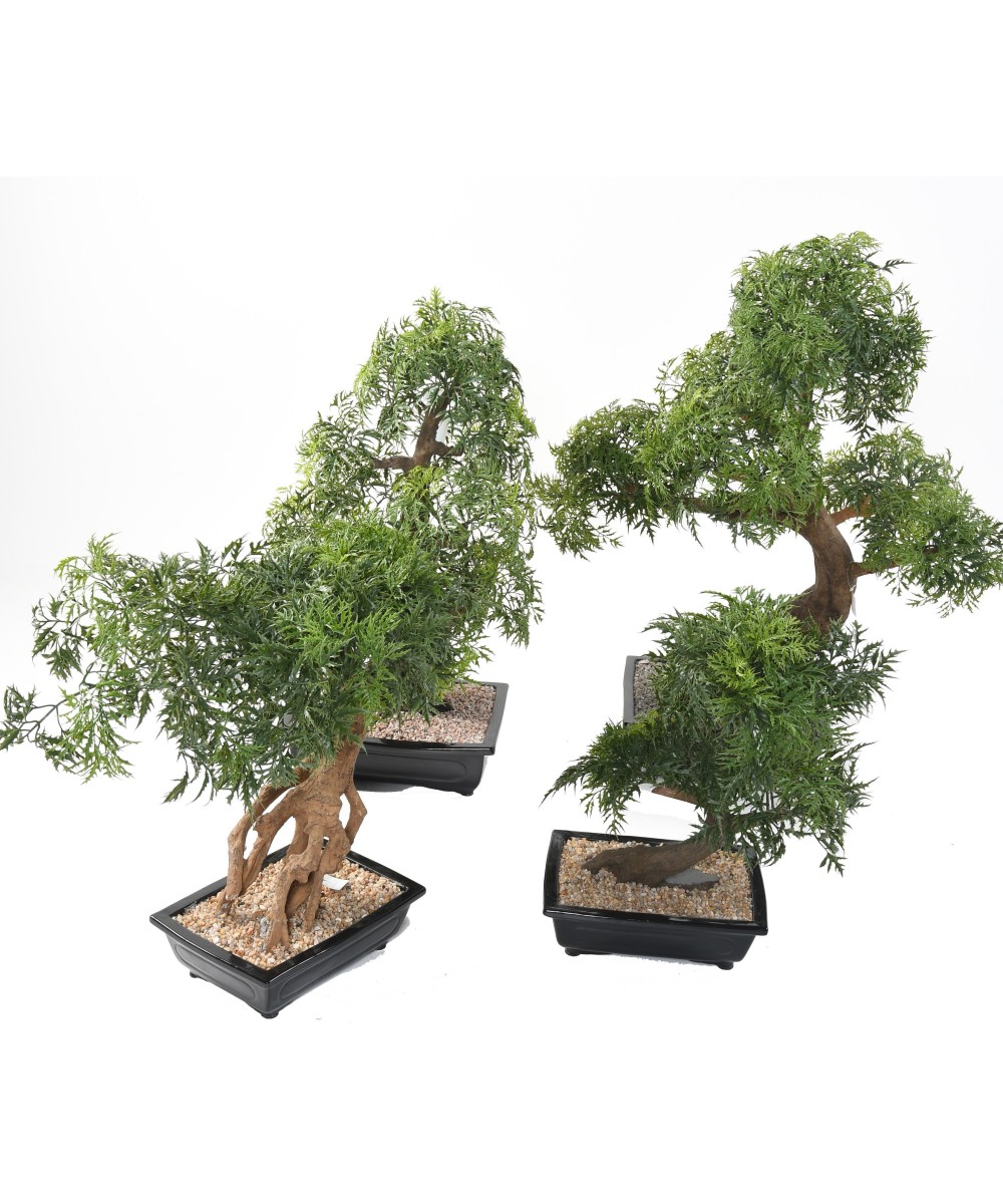 Kunstlik bonsai araalia kausis