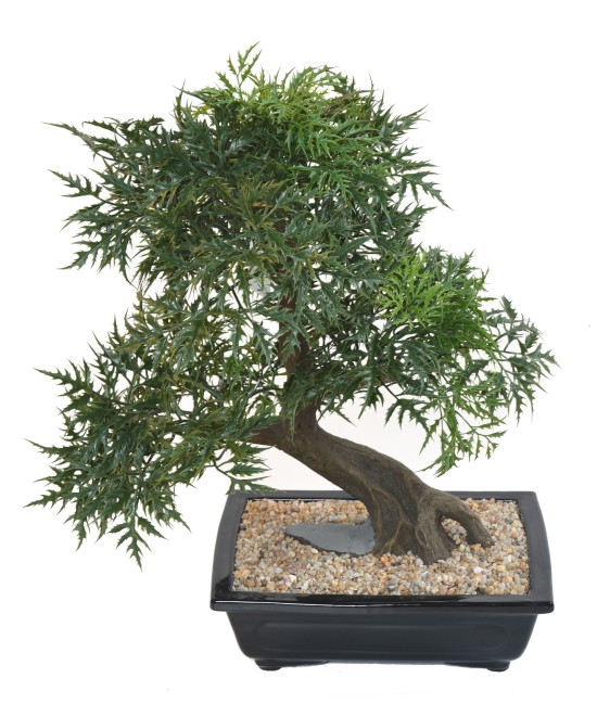 Kunstlik bonsai araalia kausis