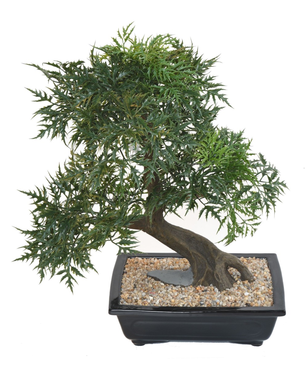 Kunstlik bonsai araalia kausis
