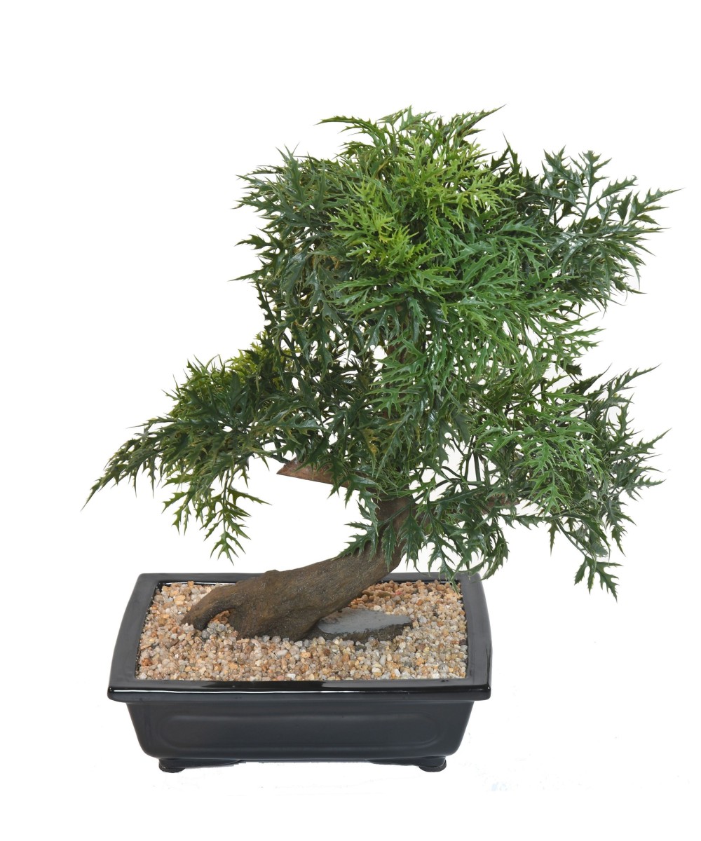 Artificial BONSAI ARALIA IN BOWL
