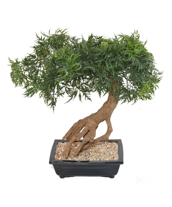 Kunstlik bonsai araalia kausis