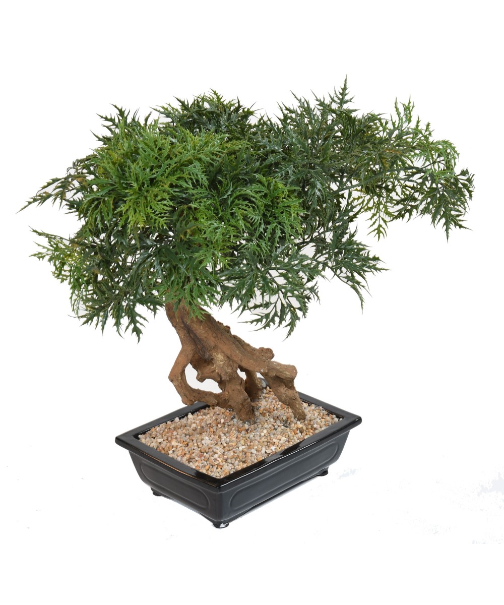 Kunstlik bonsai araalia kausis