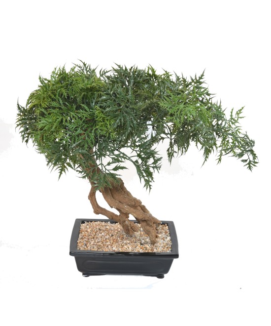 Kunstlik bonsai araalia kausis