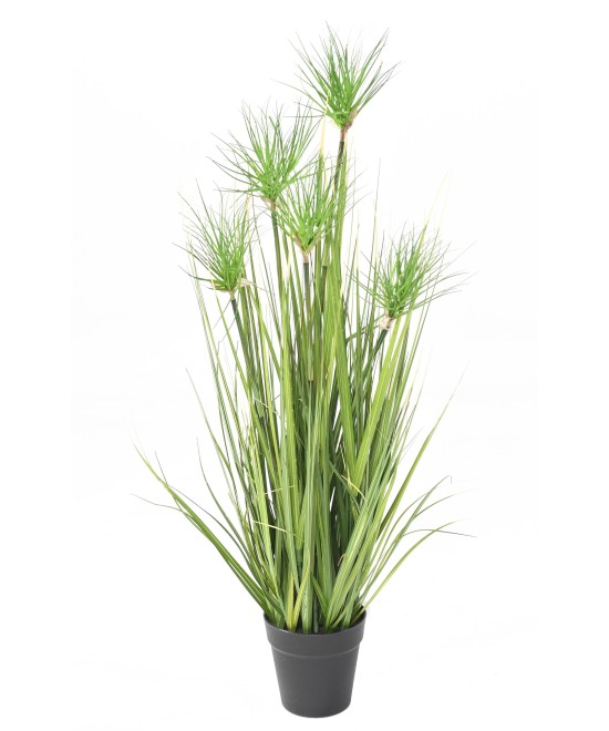 Kunstlik krüsopogoonirohi