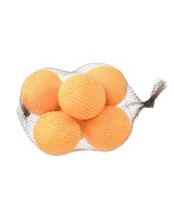 Artificial ORANGES, net of 6